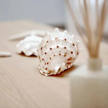 ベッド・アンド・ブレックファスト Di Nera 4*