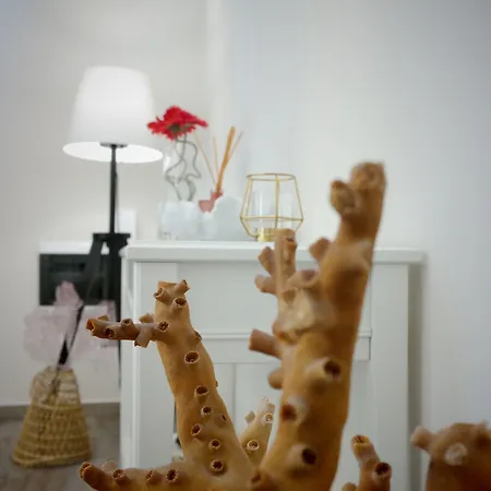 Di Nera فندق مبيت وإفطار باليرمو