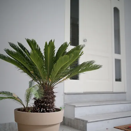 Di Nera 4* Palermo